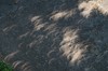 2017-08-21 Eclipse 267
